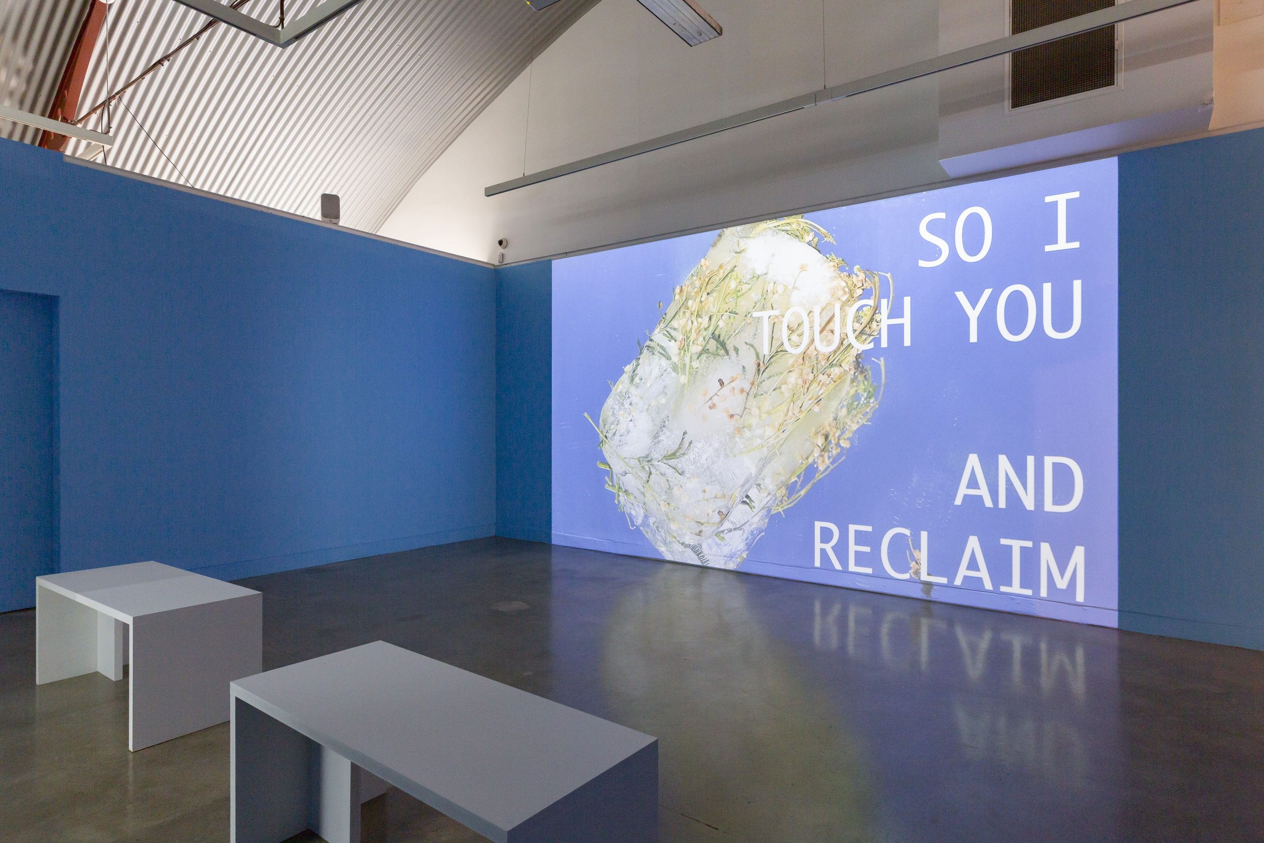 A video screen in an art gallery with the words 'So I touch you and reclaim'