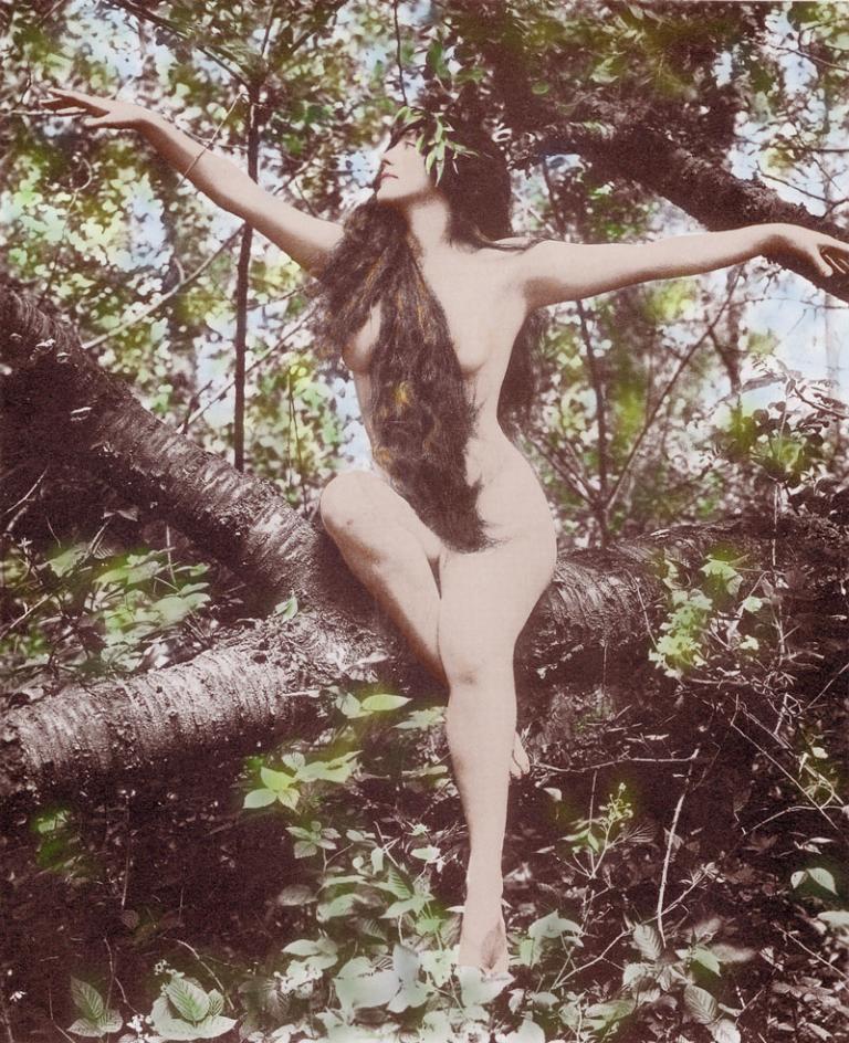 A seemingly nude woman, actor Annette Kellerman. Her body is covered only with long hair over her breasts and abdomen. She sits on a tree trunk with her arms outstretched.