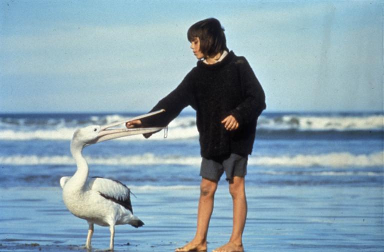 Greg Rowe as Storm Boy taking a ball out of Mr Percival the pelican's mouth on the set of Storm Boy