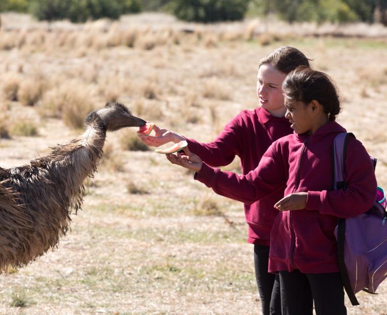 Two young girls feeding an emu