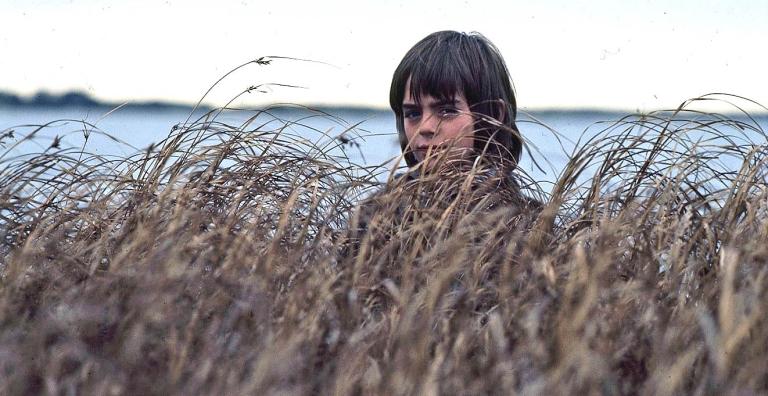 Greg Rowe as Storm Boy looking at the camera through long grass