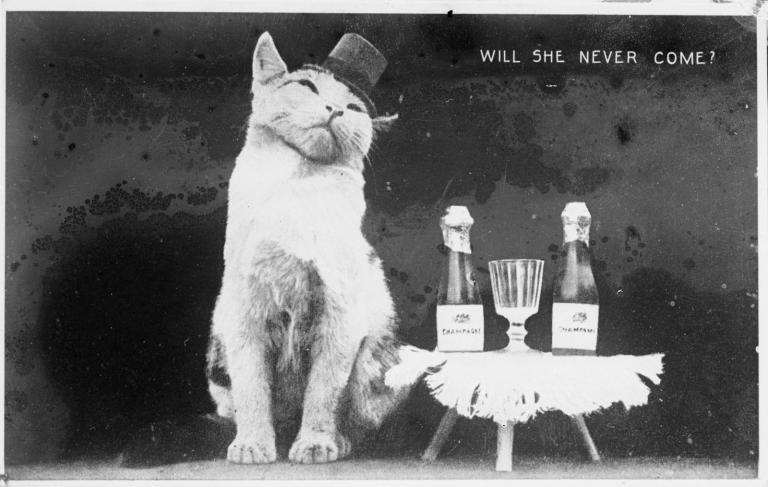 Cat wearing a top hat and sitting next to a small table with champagne bottles and glasses on top. Text on image reads 'Will she never come?'