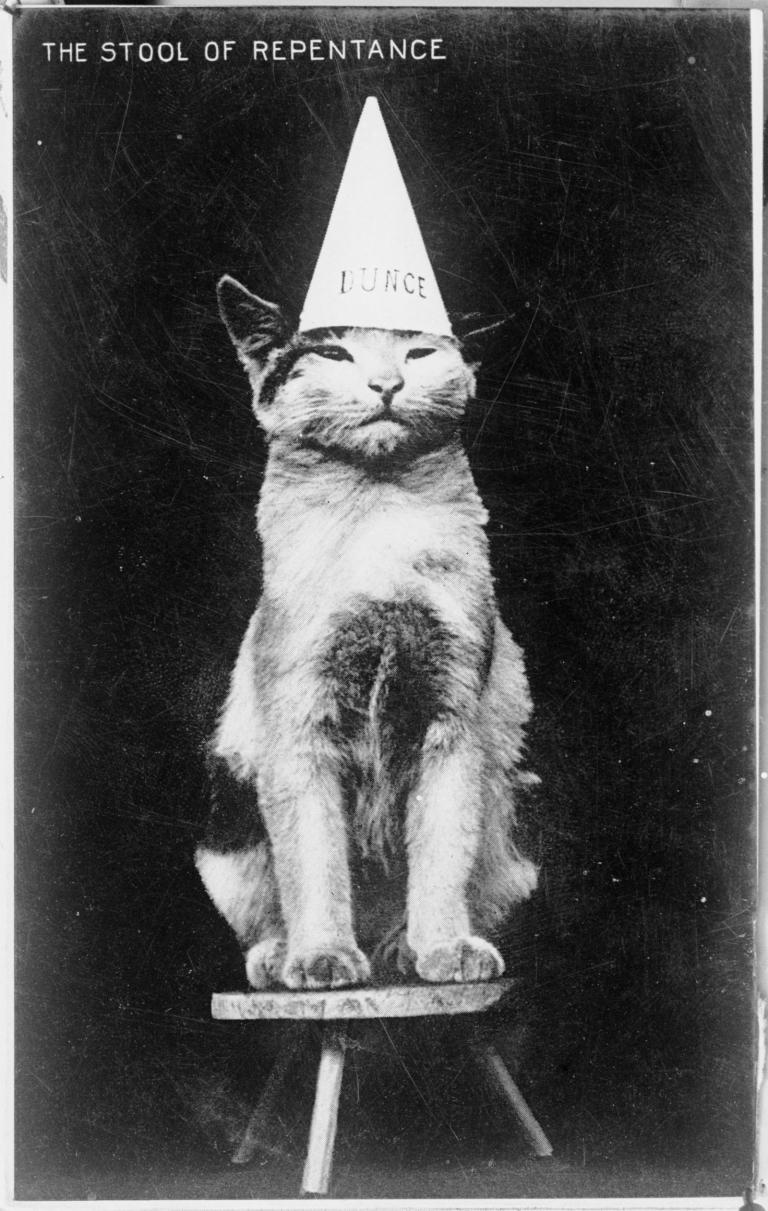 Cat sitting on a stool wearing a dunce hat.
