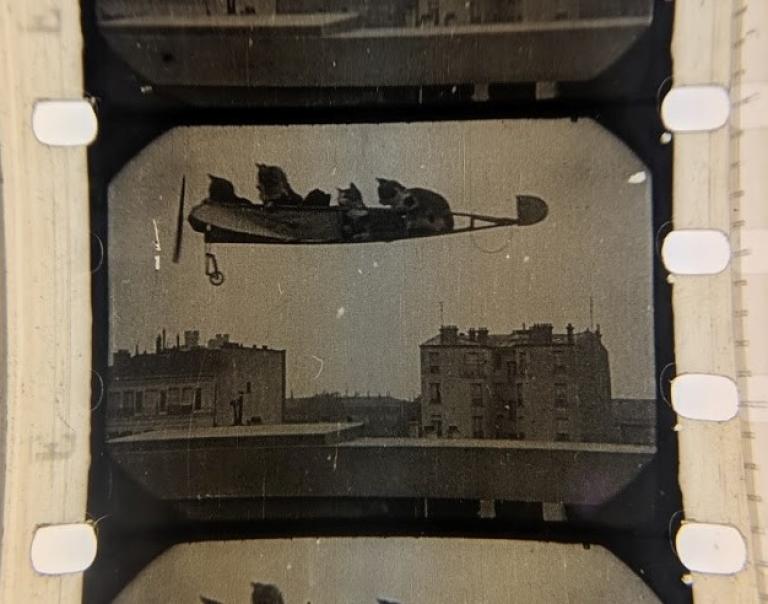 Film strip from a film called Les Chats showing cats in a flying machine.