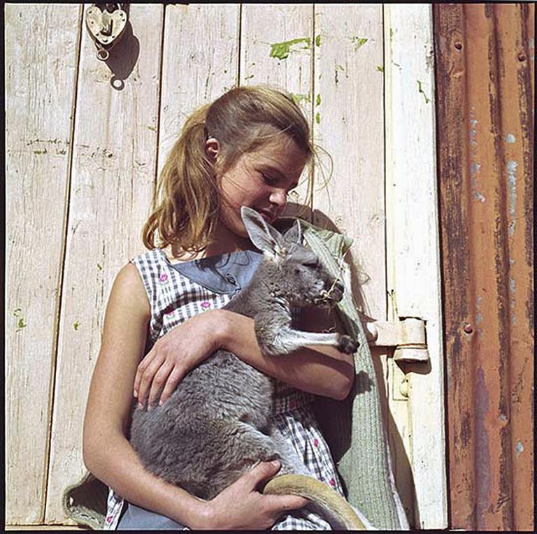 Still image from the film Nullarbor Hideout (1965) of a school girl, Carol, played by Frances Hattam holding a joey and leaning against a wooden fence.