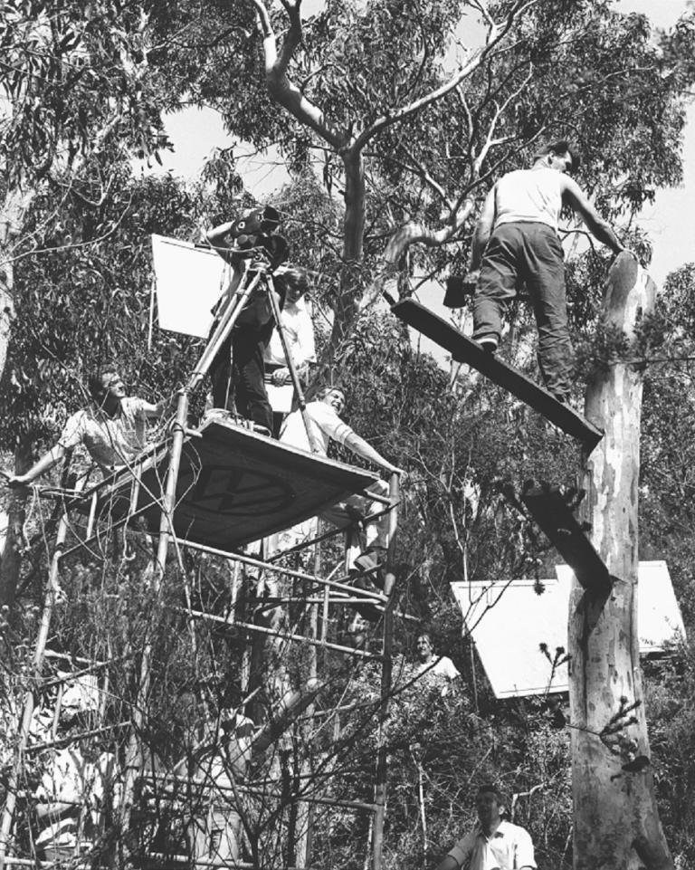 Skippy crew set up on a scaffold to film an axeman chopping a large tree.