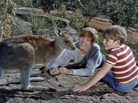 Two boys lying on the ground in the bush with a kangaroo.