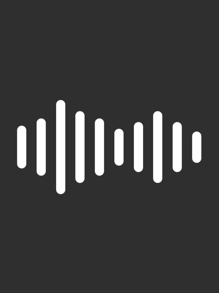 An audio wave form made up of vertical lines, against a dark background