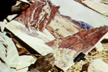 Looking over the shoulder of Albert Namatjira while painting