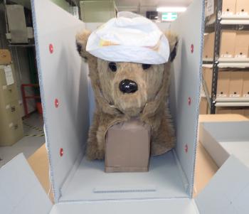 Head of a bear costume sitting inside a conservation box