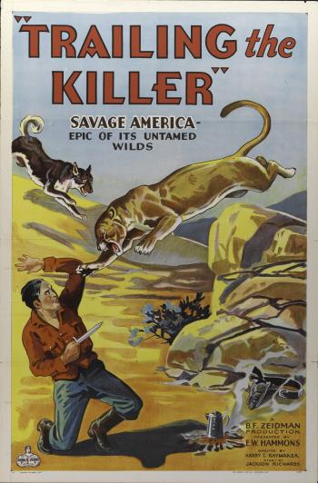 illustration of a man kneeling on ground armed with dagger defending himself against a mountain lion, Lobo the dog is jumping in from background left
