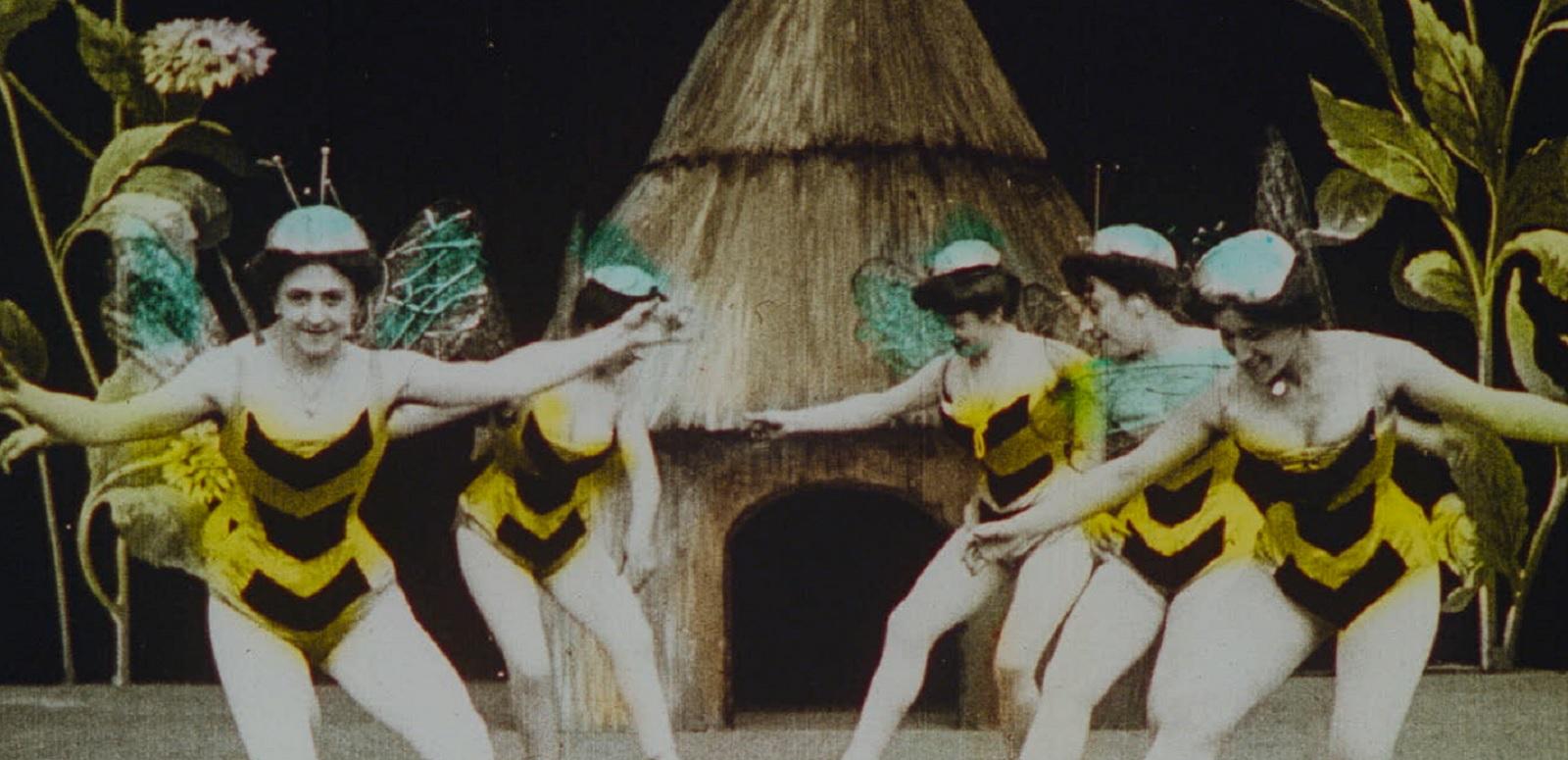 Five women dressed as bees, dancing in front of a hut, with giant flowers in the background