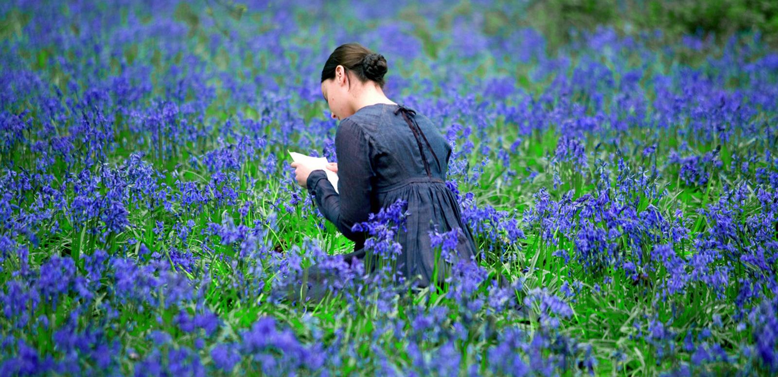 A girl sits in a field of bluebells reading a book with her back to the camera