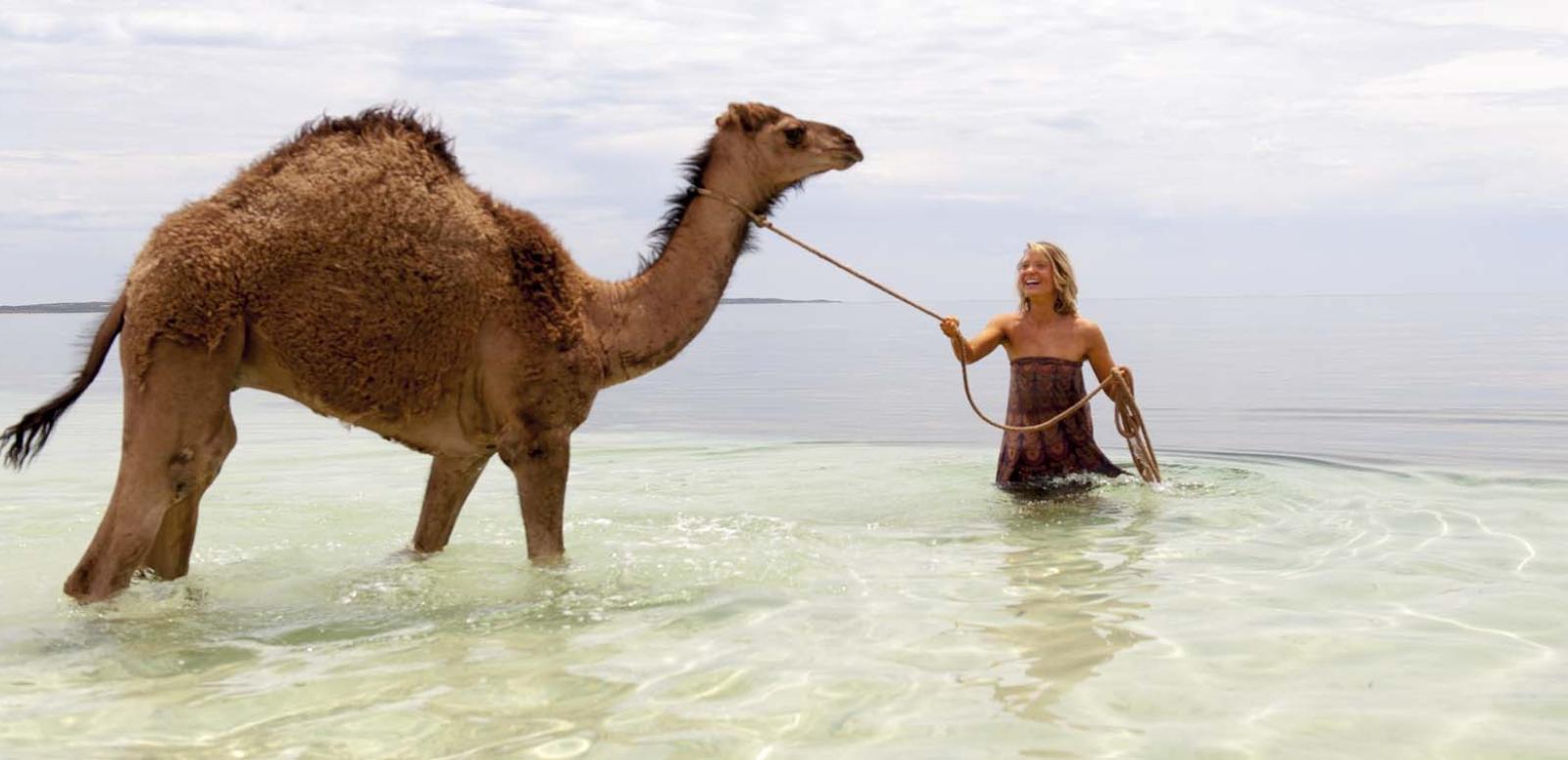 Mia Wasikowska leads a camel in the ocean in a scene from the film Tracks