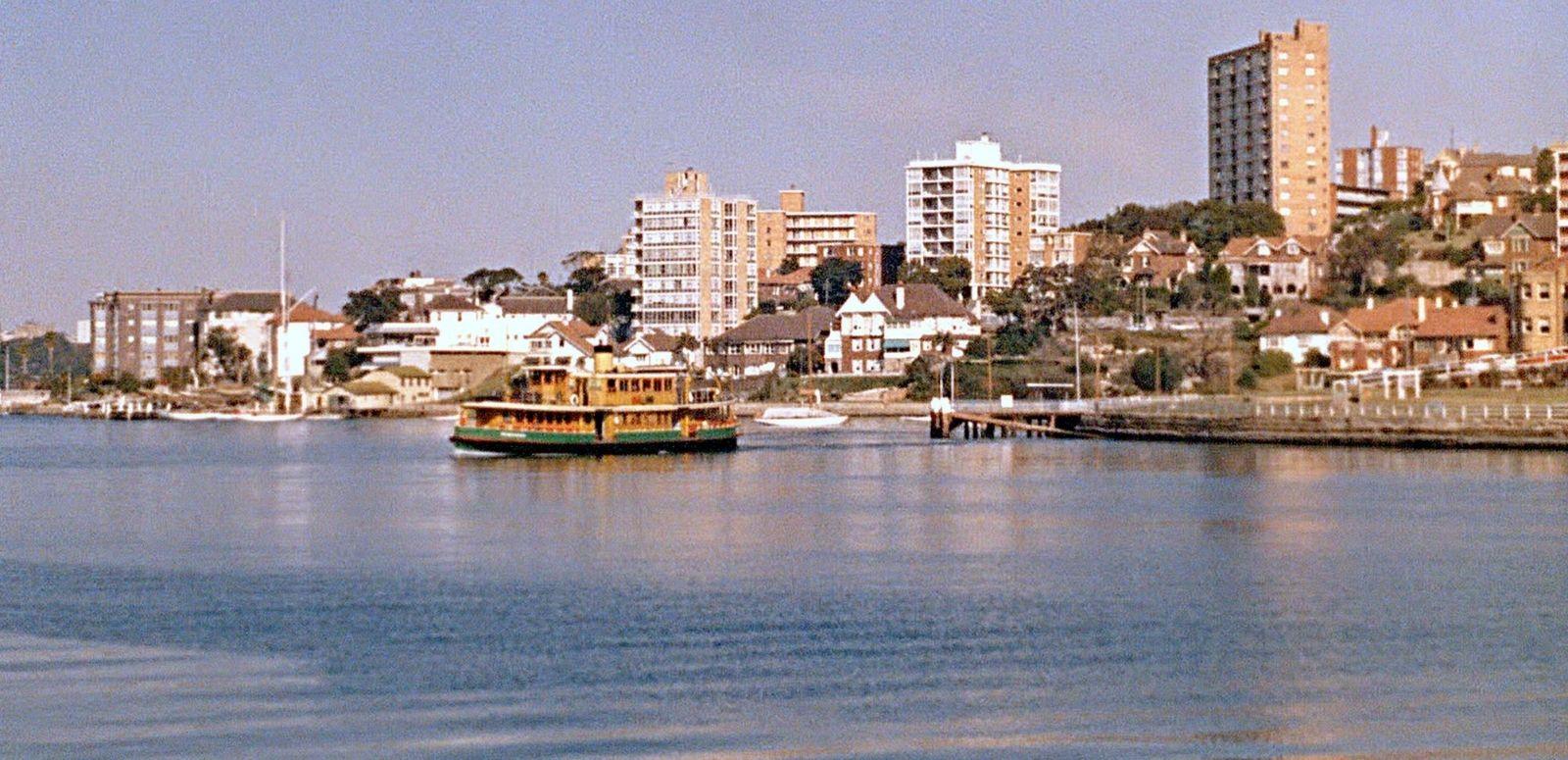 A ferry is crossing Sydney Harbour with the shore and houses and apartments behind it.