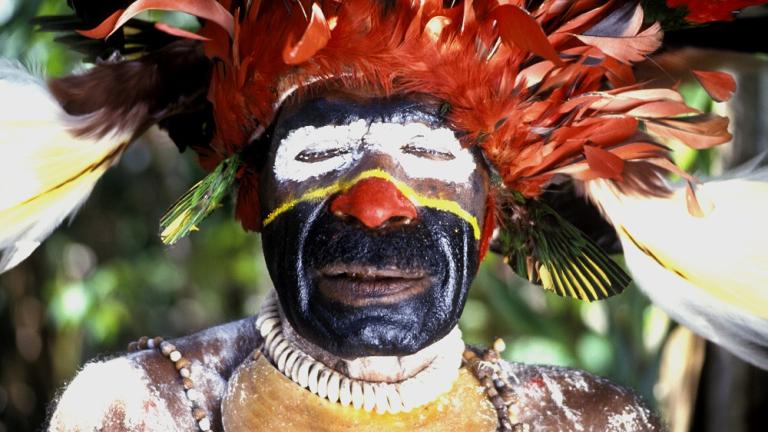 Image of a Papua new Guinea man wearing tribal costume.