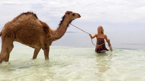 Mia Wasikowska leads a camel in the ocean in a scene from the film Tracks