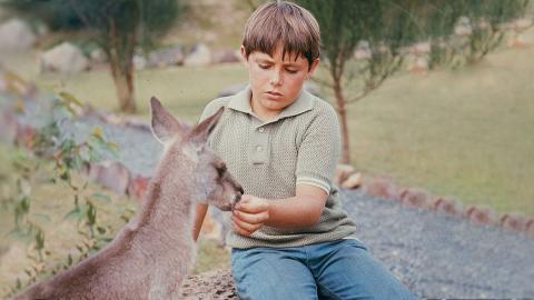 Sonny sitting in a garden hand-feeding Skippy the kangaroo