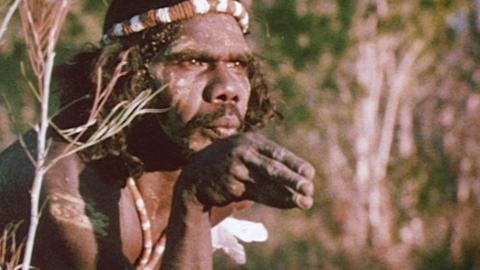 A young David Gulpilil is wearing traditional bodypaint in the bush. He is looking off-screen. He holds his hand in a dance pose in front of his mouth.
