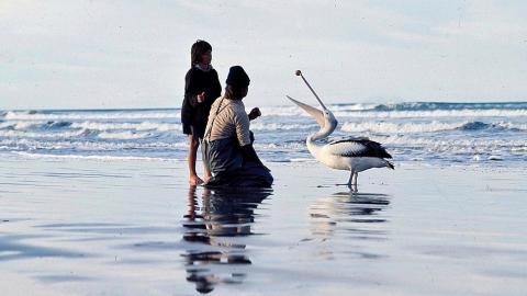 Greg Rowe and Gordon Noble with a pelican standing on the beach. Noble is teaching the pelican how to catch a ball.