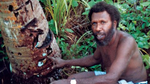 Eddie Koiki Mabo surrounded by a tree and plants in a garden.