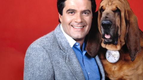 Head and shoulders shot of Simon Townsend wearing a sportscoat and shirt, smiling at camera, sitting next to his pet Woodrow the bloodhound, against a deep red backdrop.
